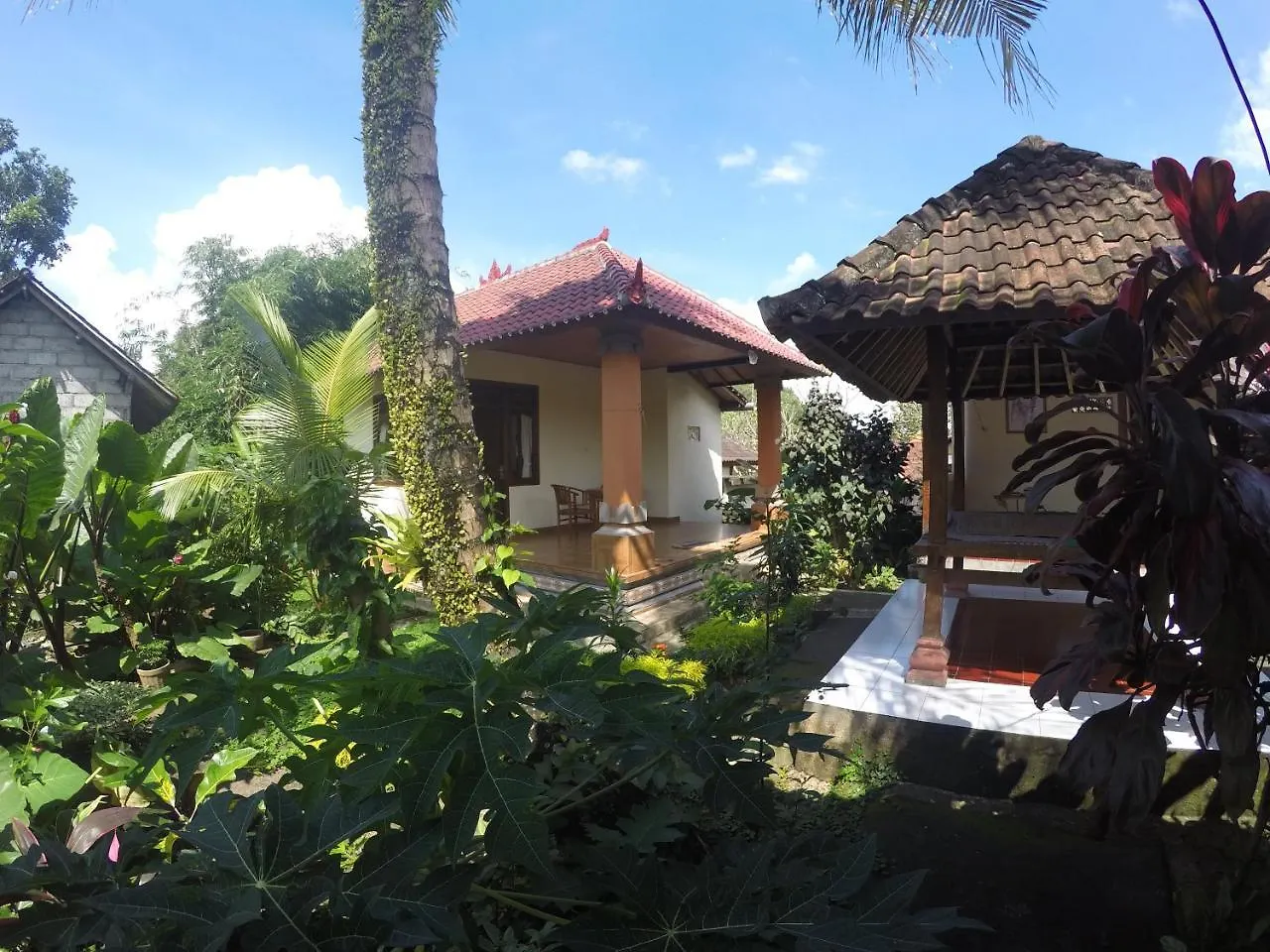 Dipa Home Stay Ubud  Homestay